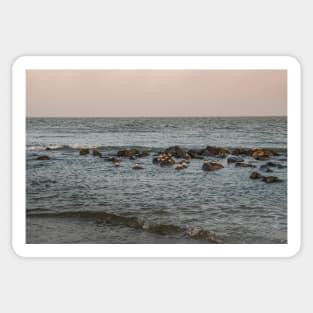 Group of turnstone birds on rocks along the shore Sticker